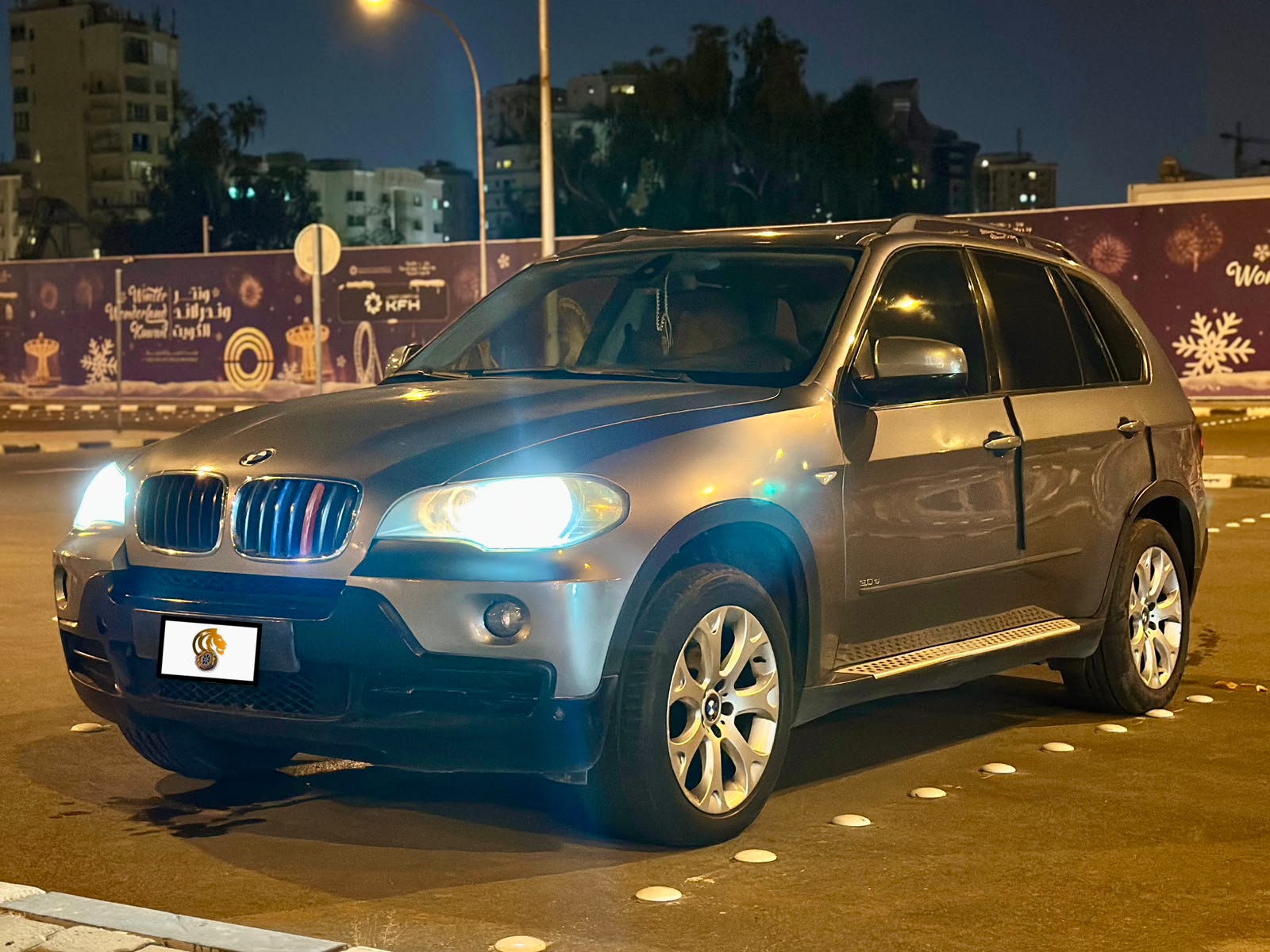 2009 BMW X5